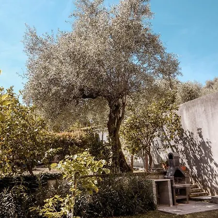 Apartmán L'olivo *
