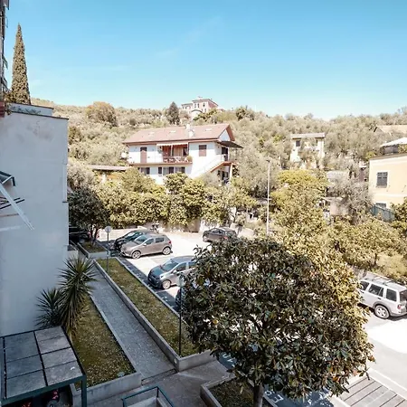 L'olivo *